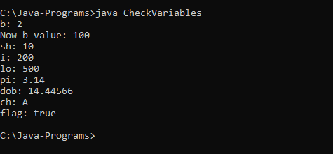 java variables example